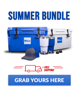 Summer Bundle